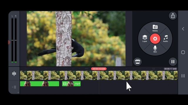 owl and birds animation wirh chroma key in kinemaster | চমৎকার ক্রোমা কী ইফেক্ট смотреть онлайн