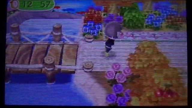 Animal Crossing New Leaf: Trop bien Caché ! смотреть онлайн