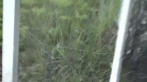 Обзор пневматического пистолета Байкал МП 651КС  Тест на убойность!!!