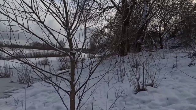 Зимняя прогулка.#Январь.P.S. смотреть онлайн