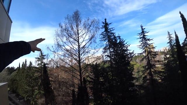 Адлер Сочи квартиры в 200 м от моря, пентхаус с бассейном, супер предложение смотреть онлайн