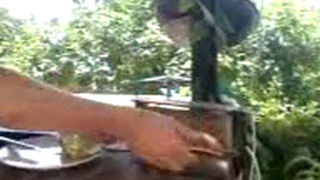 Killer toaster of Orgiva смотреть онлайн