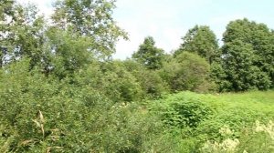 распопов. Дом и сад 8 июля. Активная мульча -3..avi