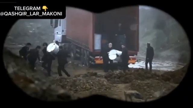 Qashqirlar makoni 12-qism смотреть онлайн