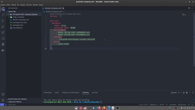 08 - Iniciando nosso projeto: MongoDb + Mongo-express com docker-compose (Semana 2) смотреть онлайн