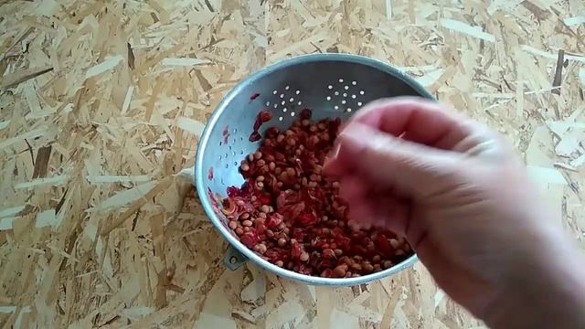 Автомобильные Приключения