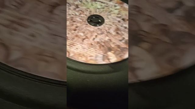 обзор CD дисков гражданской оборона,коммунизм и Егор Летов (выргород)