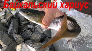 Отдых и рыбалка на хариуса на Байкале в бухте Орсо.