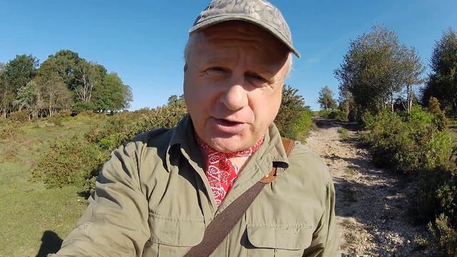 NEW FOREST WALK at BRAMSHAW TELEGRAPH / TELEGRAPH HILL (NEW FOREST NATIONAL PARK) смотреть онлайн