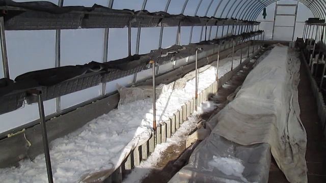 Жесть ! Готовимся к большим морозам! Спасаем клубнику в поликарбонатной теплице в феврале ! смотреть онлайн