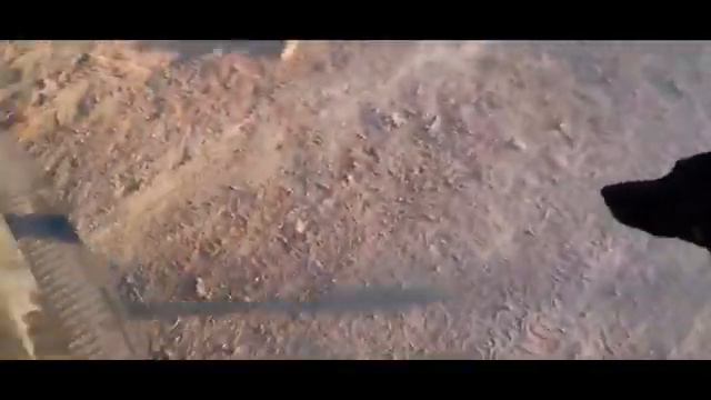 В приюте всё спокойно, и это хорошо! смотреть онлайн