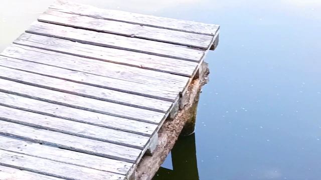 Хрустящие Куры-Гриль! Секрет Быстрого Приготовления! смотреть онлайн