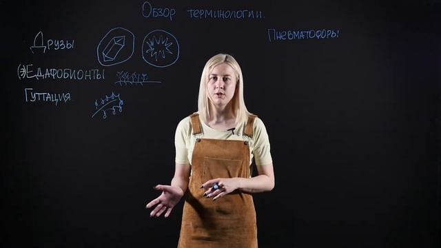 БИОЛОГИЯ 6 класс: Обзор терминологии смотреть онлайн