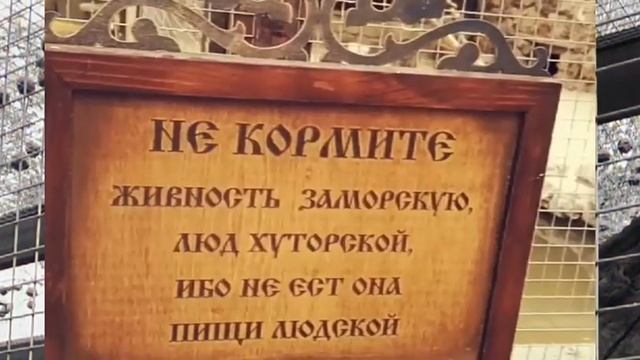 Парк Лого, Ростов на Дону смотреть онлайн