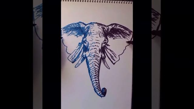 Амбидекстрия Рисую двумя руками Зеркальное рисование Mirror Drawing Ambidextry Drawing Слон Elephan