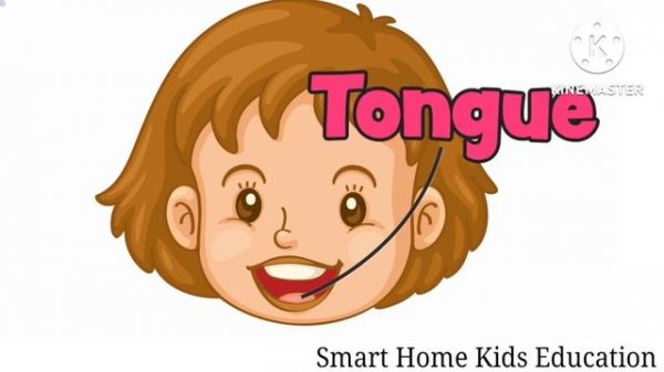 Class-23 G.k. Parts of the body for kids/human body parts for preschool /body parts vocabulary