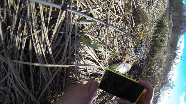 весенняя щука на джиг 2