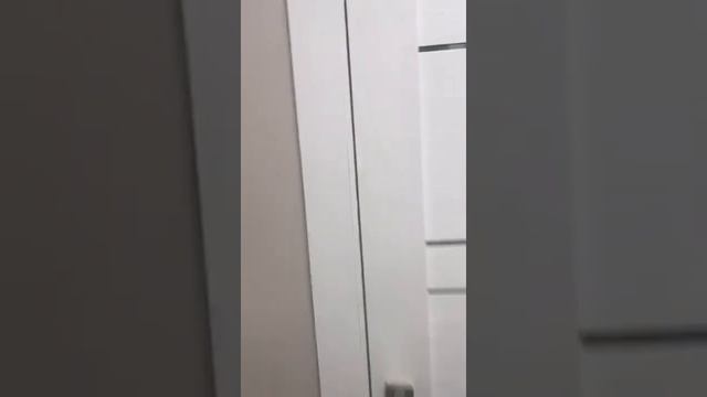 1-комн. квартира, 40 м²Москва, ЮЗАО, р-н Северное Бутово, ул. Грина, 40К1 смотреть онлайн