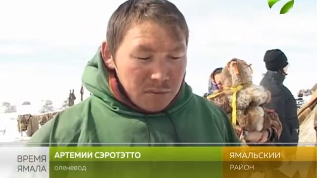 Специалисты АПК проверяют пастбища Ямальского района смотреть онлайн