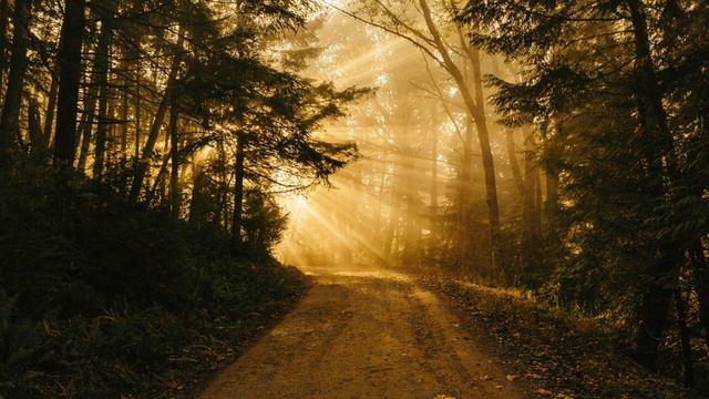 Canon in D by Johann Pachelbel ~ Piano Instrumental смотреть онлайн