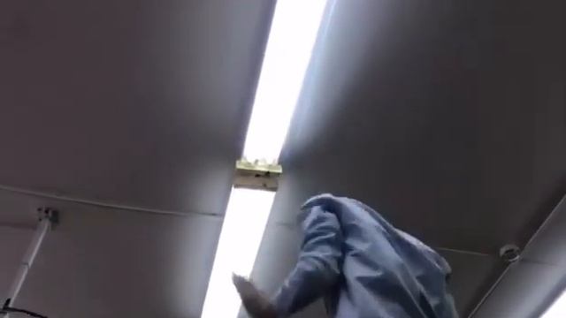 Пххпхпхпхп! Как дела в школе? смотреть онлайн