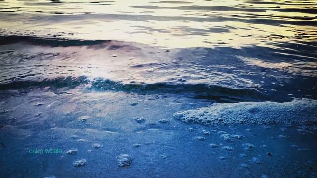 New WATER - Sacral Chakra Koshi Meditation - See The Ocean Of Oneness...