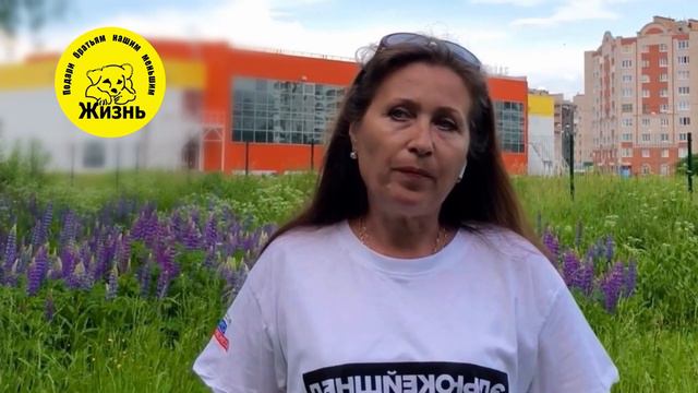 Лариса Акманова - директор АНО "Жизнь". Видеоприветствие. смотреть онлайн