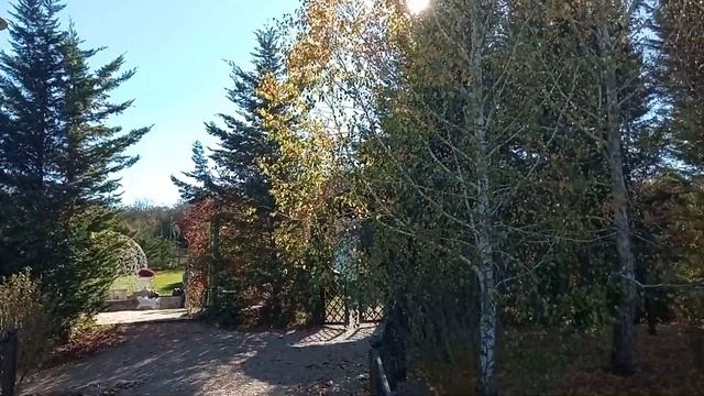 Жара 25°.Хожу , наслаждаюсь и худею! смотреть онлайн