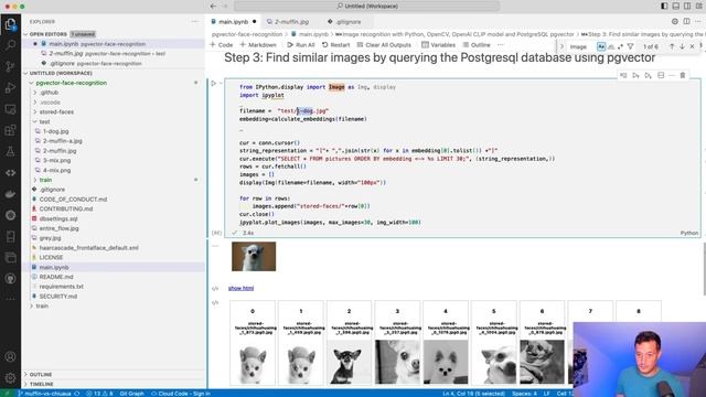 Machine Learning challenge: Chihuahua vs Muffin with PostgreSQL and pgvector смотреть онлайн