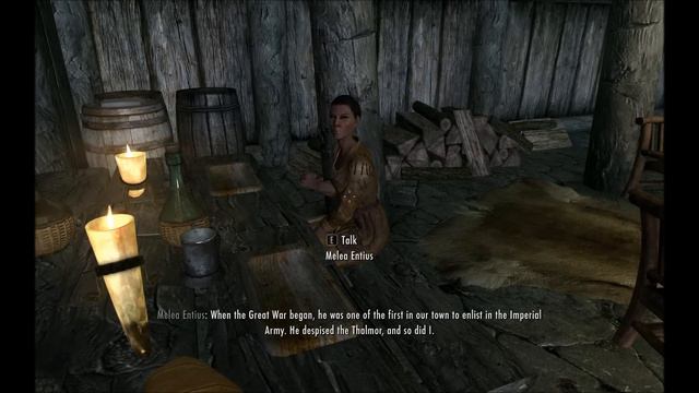 Interesting NPCs - Melea Entius смотреть онлайн