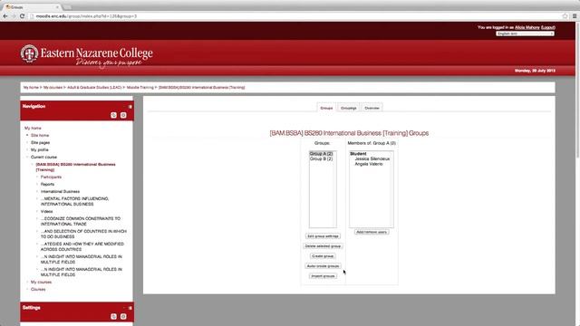 Moodle Groups Guide for Professors смотреть онлайн