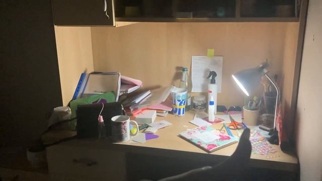 VLOGMAS 1? МОЙ УХОД ЗА ВОЛОСАМИ / ПОДГОТОВКА К НОВОМУ ГОДУ смотреть онлайн