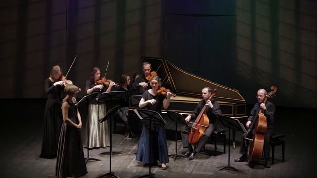 Telemann Concerto for Flute and Violin TWV 52 e3 смотреть онлайн