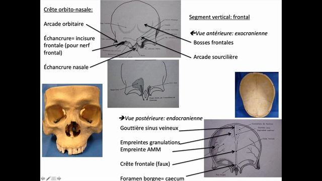 Os frontal смотреть онлайн