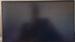 Черный экран (Black screen) Lenovo Legion Y540 при статическом изображении