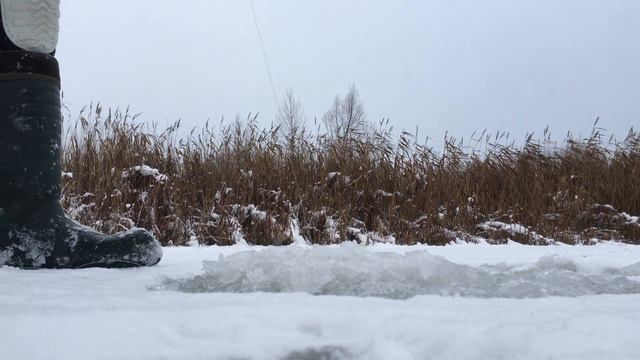 Он работает!!! Паровоз на жерлице)) смотреть онлайн