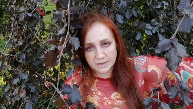 Упасть в Повседневность смотреть онлайн