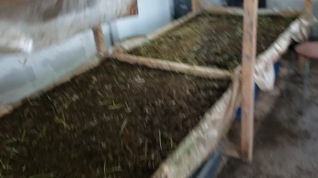 Выращивание червей для рыбалки весь сезон смотреть онлайн