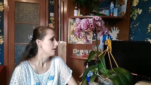 Удивительные растения семейства кошачьих. Кот баюн и дикий кот смотреть онлайн