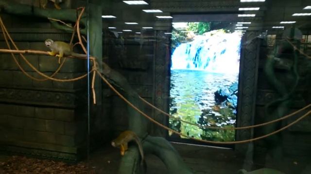 Создание под ключ ВИДЕО ЭКРАНА для сети магазинов автозапчастей смотреть онлайн