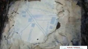 Страшные находки черных копателей. +18