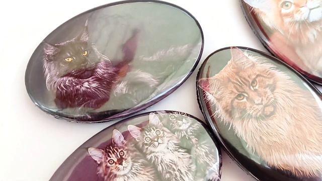 Супер кот Мейн-кун брошь смотреть онлайн