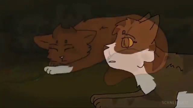 Cat Warriors Верните в моду любовь •Заказ с канала  EveCat КВ ʕ·ᴥ·ʔ• смотреть онлайн