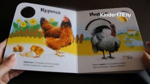 Музыкальная книга «Ферма» Учись и веселись. Азбукварик. Видео-обзор
