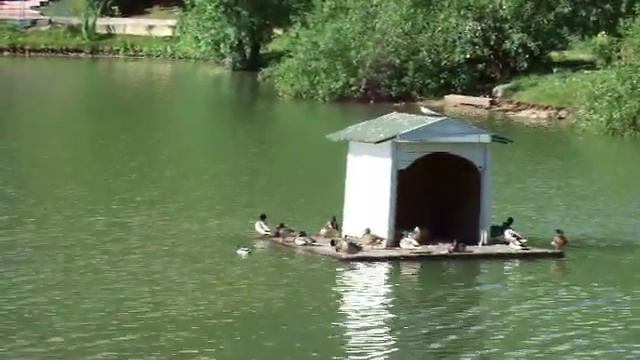 Миракс-парк смотреть онлайн