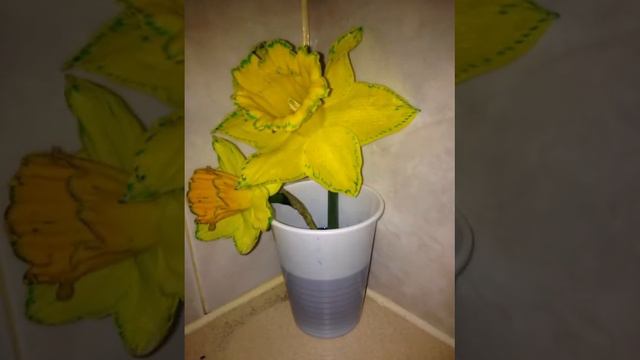 Daffodil colour смотреть онлайн