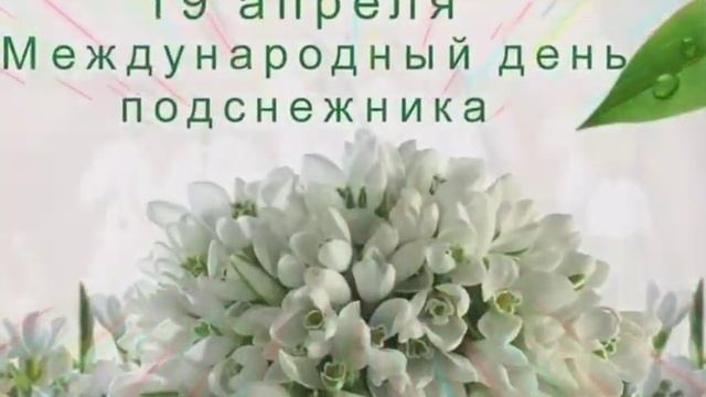 С Днем Подснежника! 19 Апреля Всемирный День Подснежника! The Day of Snowdrop смотреть онлайн