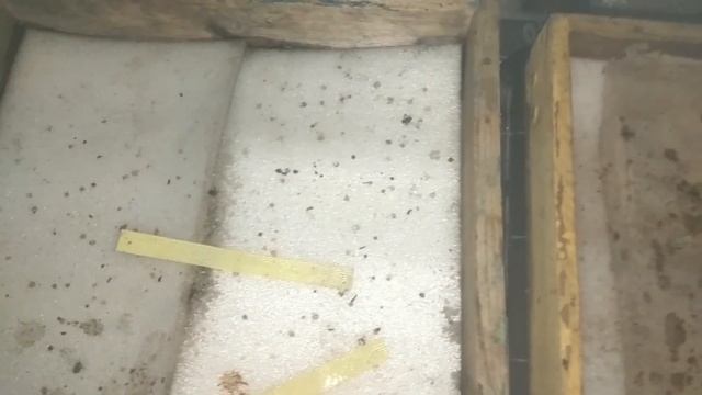 07.11.20г С Праздником друзья Зимуем ? Словения ? Австрики смотреть онлайн