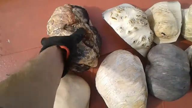 Сувел и кап для рукоятей. смотреть онлайн