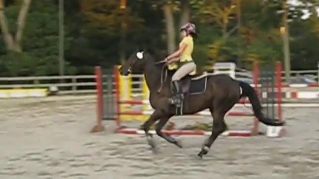 Tory & Java 3' Round 8-19 смотреть онлайн